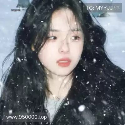 凤鲁庄